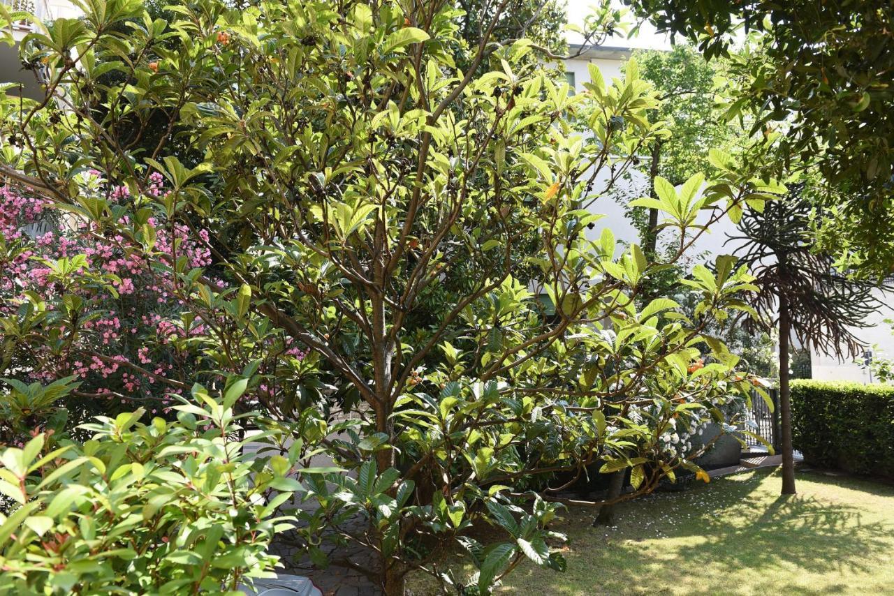 Le Rondinelle Apartment โกโม ภายนอก รูปภาพ